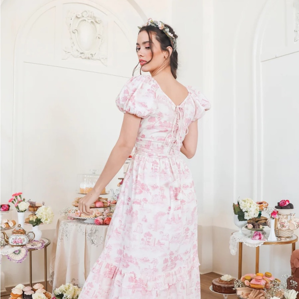 Ivy City Co Antoinette pink tulle dress